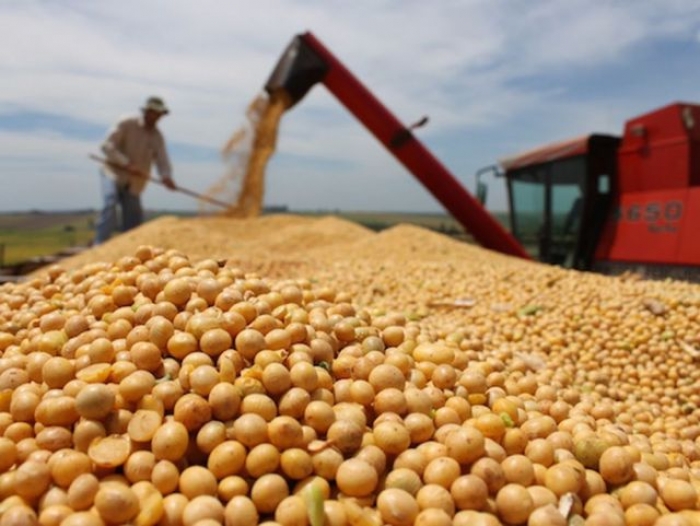 Paraguay es el quinto mayor productor de soja a nivel mundial