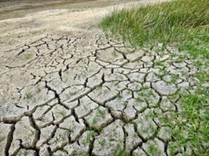 Impacto del cambio climático en agronegocios
