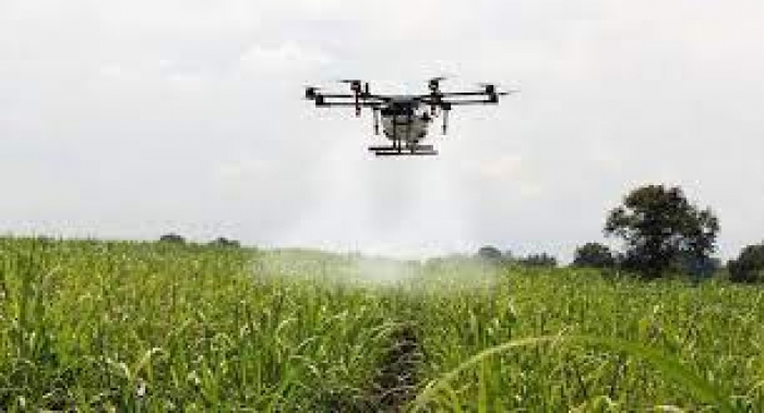 Drones en agricultura, una tecnología con potencial para apoyar especialmente a los pequeños agricultores