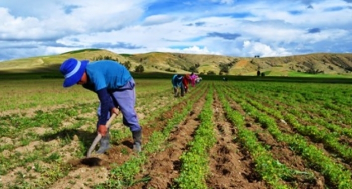 Planteamientos para la elaboración de una política pública para el desarrollo sostenible de la agricultura