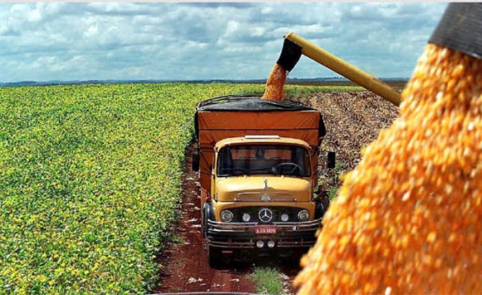  En 2023 Brasil apunta a lograr la mayor cosecha de su historia 